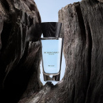 burberry touch for men edt